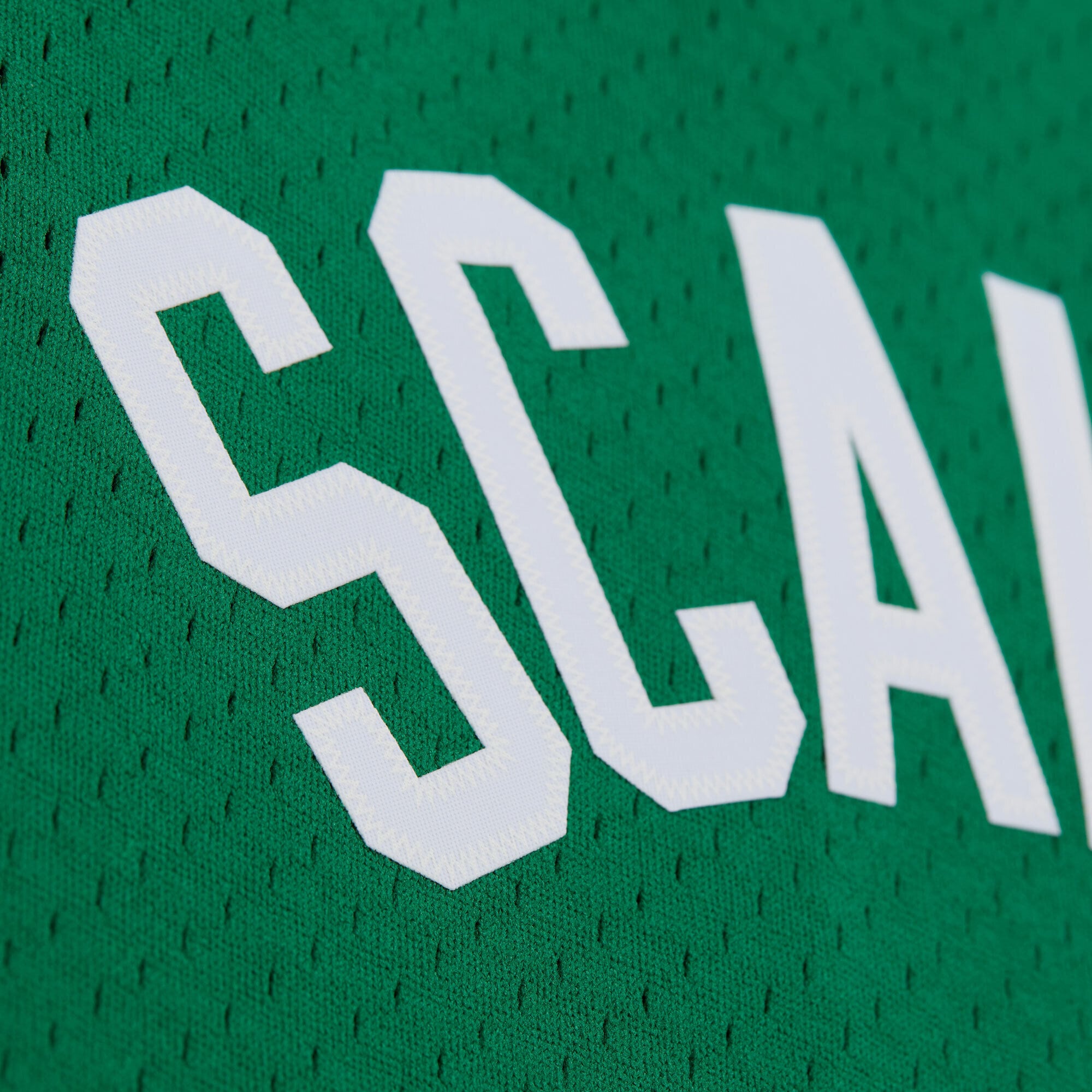 Brian Scalabrine Boston Celtics 2007/08 Hardwood Classics Swingman Jersey - Kelly Green - Image 8