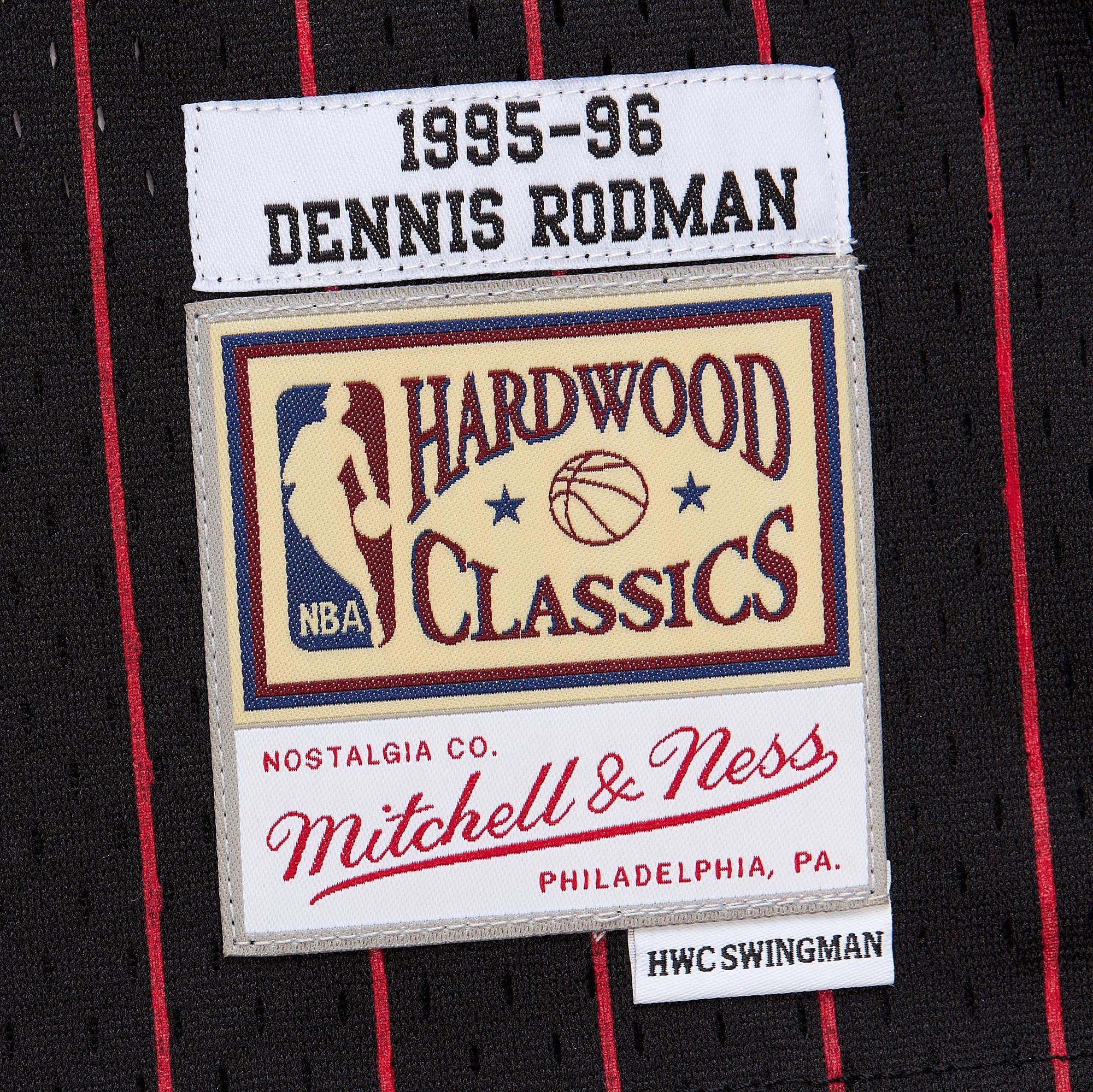 Dennis Rodman Chicago Bulls Youth 1995/96 Swingman Jersey - Black - Image 6